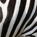 メンズのモノトーンコーデ。春らしくおしゃれにキメるコツは?
